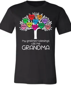 My Greatest Blessings Call Me Grandma Unisex Jersey Tee