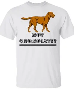 Got Chocolate Youth T-Shirt