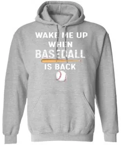 GydiaGarden Wake Me Up When Baseball is Back Hoodie