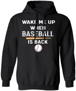 GydiaGarden Wake Me Up When Baseball is Back Hoodie
