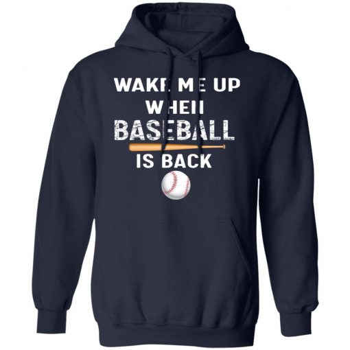 Private: GydiaGarden Wake Me Up When Baseball is Back Hoodie