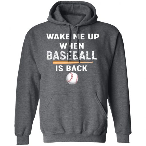 Private: GydiaGarden Wake Me Up When Baseball is Back Hoodie