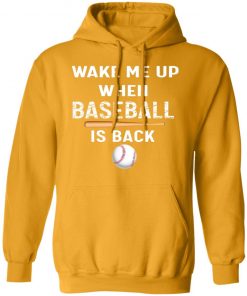 Private: GydiaGarden Wake Me Up When Baseball is Back Hoodie