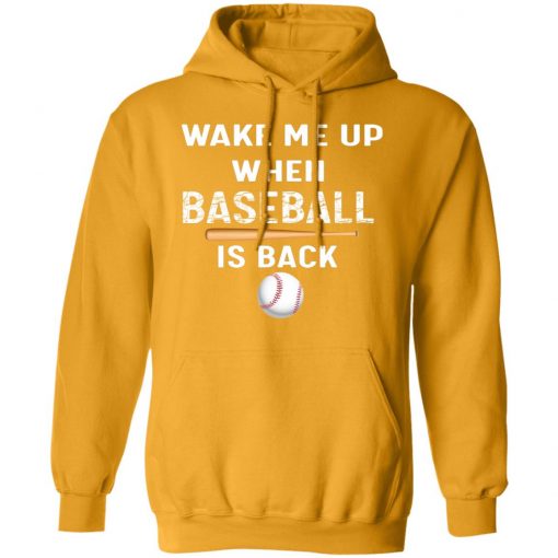 Private: GydiaGarden Wake Me Up When Baseball is Back Hoodie