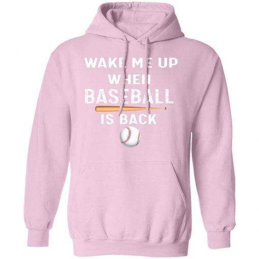 Private: GydiaGarden Wake Me Up When Baseball is Back Hoodie