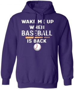 Private: GydiaGarden Wake Me Up When Baseball is Back Hoodie