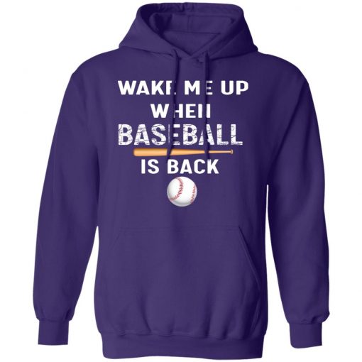 Private: GydiaGarden Wake Me Up When Baseball is Back Hoodie