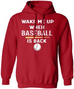 Private: GydiaGarden Wake Me Up When Baseball is Back Hoodie
