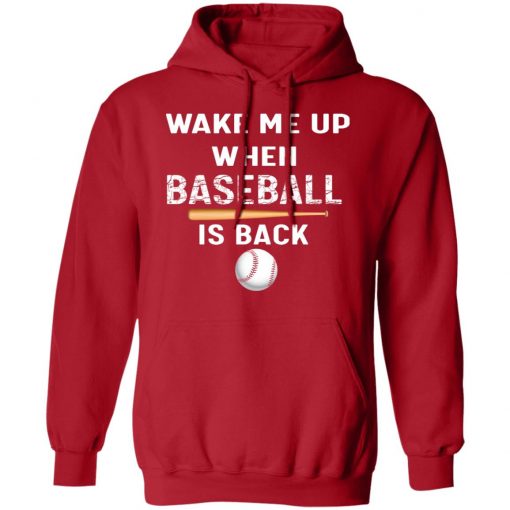 Private: GydiaGarden Wake Me Up When Baseball is Back Hoodie