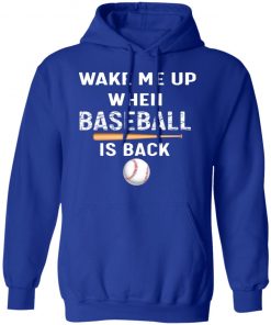 Private: GydiaGarden Wake Me Up When Baseball is Back Hoodie