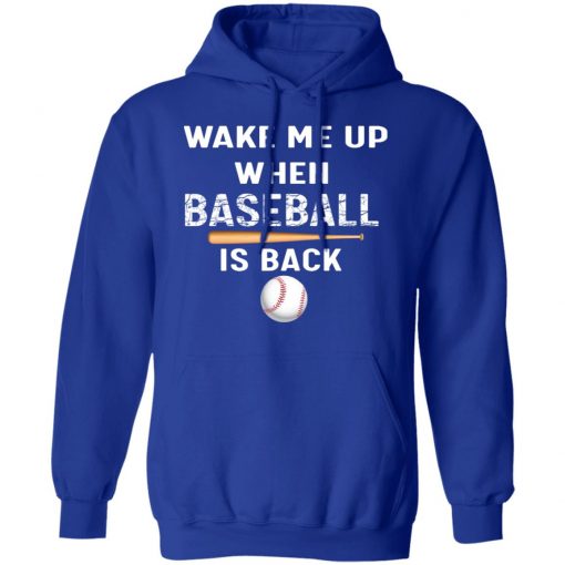 Private: GydiaGarden Wake Me Up When Baseball is Back Hoodie