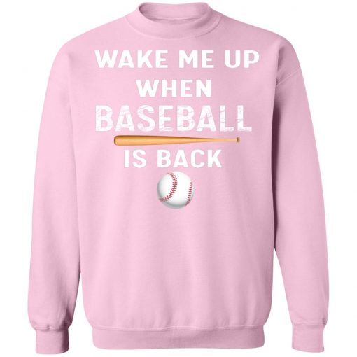 Private: GydiaGarden Wake Me Up When Baseball is Back Sweatshirt