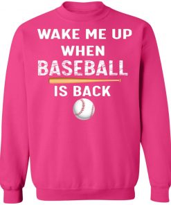 Private: GydiaGarden Wake Me Up When Baseball is Back Sweatshirt