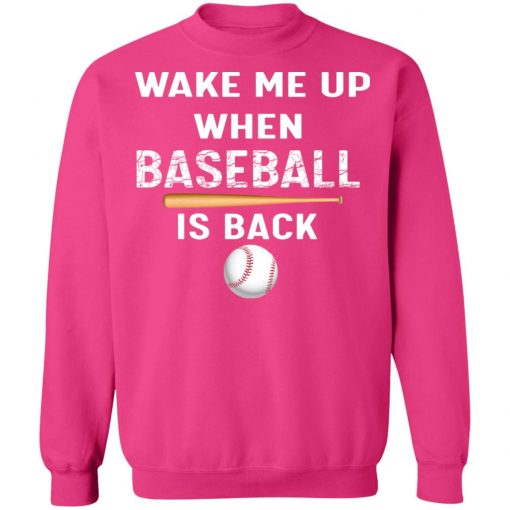 Private: GydiaGarden Wake Me Up When Baseball is Back Sweatshirt