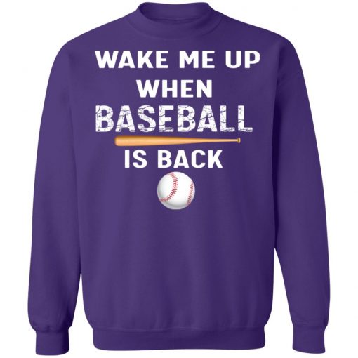 Private: GydiaGarden Wake Me Up When Baseball is Back Sweatshirt