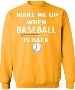 Private: GydiaGarden Wake Me Up When Baseball is Back Sweatshirt