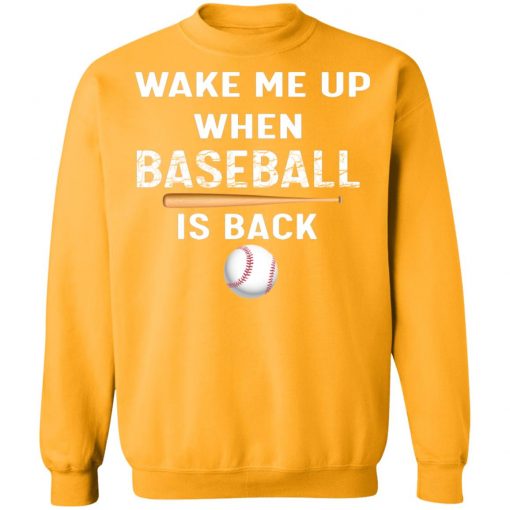 Private: GydiaGarden Wake Me Up When Baseball is Back Sweatshirt