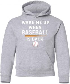 Private: GydiaGarden Wake Me Up When Baseball is Back Youth Hoodie