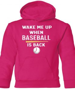 Private: GydiaGarden Wake Me Up When Baseball is Back Youth Hoodie