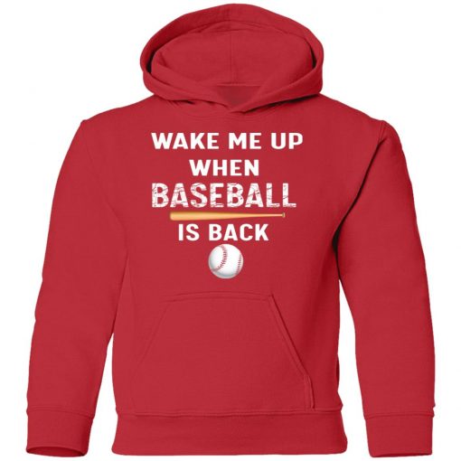 Private: GydiaGarden Wake Me Up When Baseball is Back Youth Hoodie