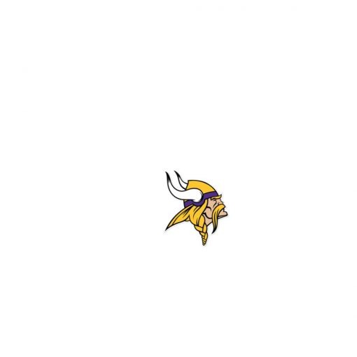 Private: Minnesota Vikings Colorblock Cinch Pack