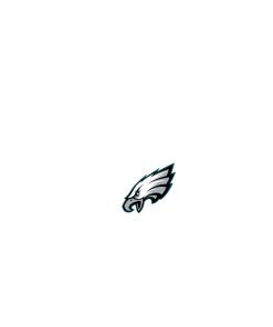 Private: Philadelphia Eagles Colorblock Cinch Pack