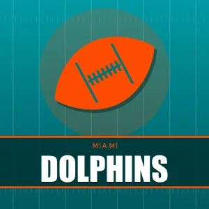 Miami Dolphins shirts